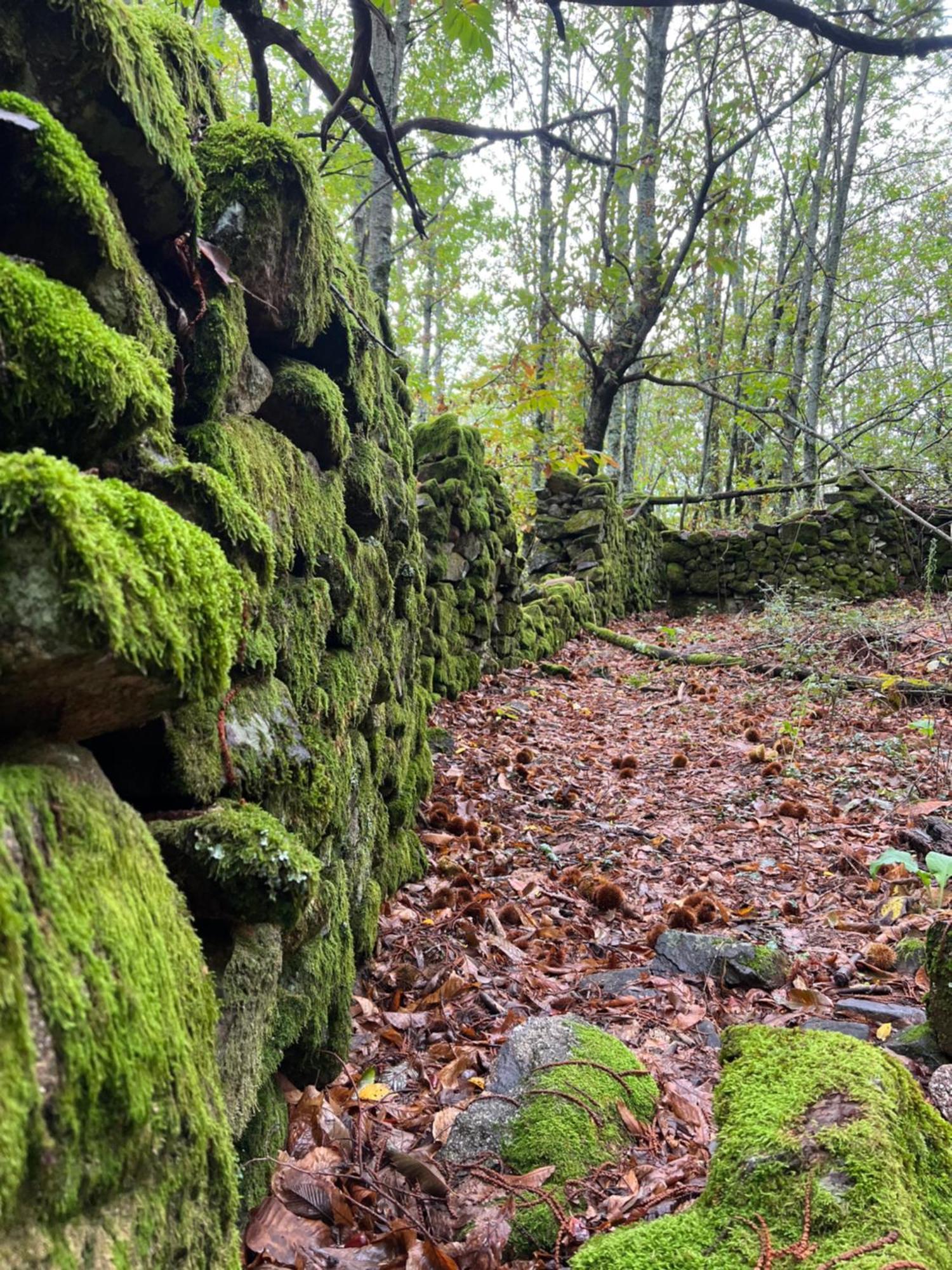 Вилла Terracea Ойос Экстерьер фото